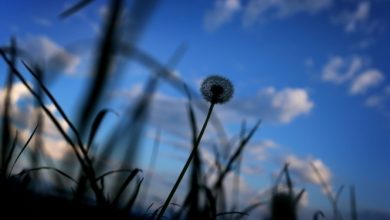 Photo of حالة الطقس: انخفاض طفيف على درجات الحرارة