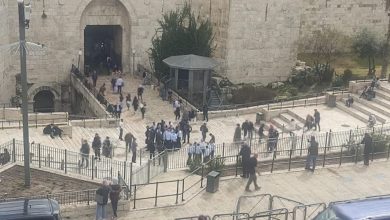 Photo of الاحتلال يعتدي على حراس الأقصى ويبعد 6 مقدسيين عن باب العامود