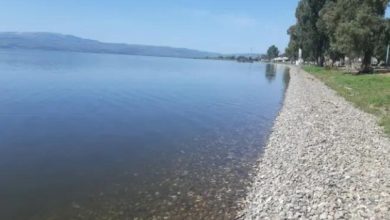 Photo of ارتفاع منسوب المياه في بحيرة طبرية بنحو 7 سم