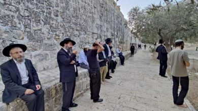 Photo of 134 مستوطنًا يقتحمون المسجد الأقصى