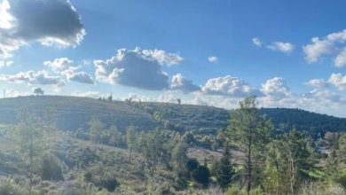 Photo of حالة الطقس: غائم جزئيا