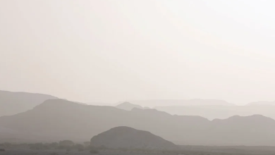 Photo of حالة الطقس: أجواء جافة وشديدة الحرارة