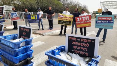 Photo of وقفة للصيادين أمام وزارة الزراعة احتجاجا على هضم حقوقهم