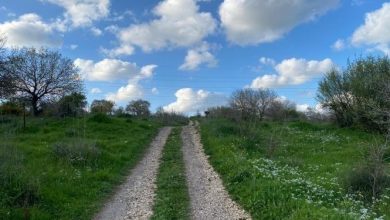 Photo of حالة الطقس: انخفاض ملموس على درجات الحرارة