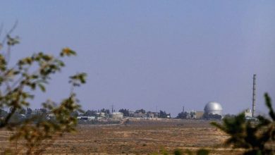 Photo of النيص مصدرًا للخطر في مفاعل ديمونا