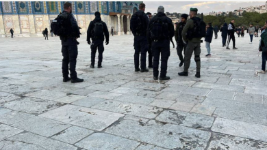 Photo of عشرات المستوطنين يقتحمون المسجد الأقصى