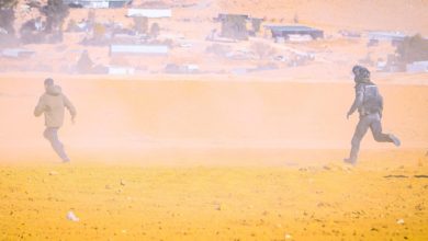 Photo of لجنة التوجيه العليا لعرب النقب تحذر من حملة مسعورة لتهويد النقب