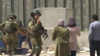 Photo of استشهاد سيدة فلسطينية برصاص الاحتلال قرب بيت لحم