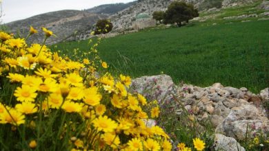 Photo of حالة الطقس: أجواء معتدلة نهارا وباردة ليلا