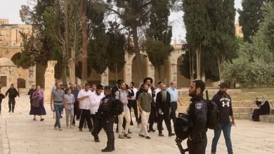 Photo of في ذكرى النكبة.. عشرات المستوطنين يقتحمون باحات المسجد الأقصى