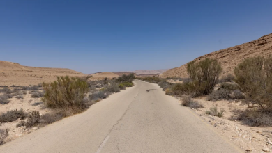 Photo of حالة الطقس: صاف.. ودرجات الحرارة دون المعدل