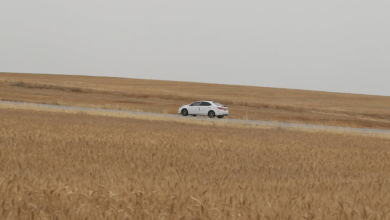 Photo of حالة الطقس: ارتفاع طفيف في درجات الحرارة