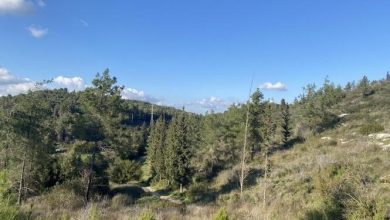 Photo of حالة الطقس: انخفاض ملموس على درجات الحرارة