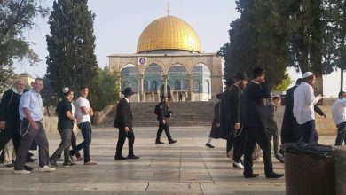 Photo of عشرات المستوطنين يقتحمون “الأقصى” ودعوات لتكثيف الاقتحامات