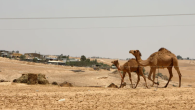 Photo of حالة الطقس: استمرار الأجواء شديدة الحرارة