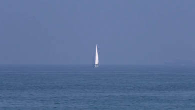 Photo of حالة الطقس: غائم جزئيا.. انخفاض في درجات الحرارة