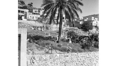 Photo of 51 قرية دمرتها العصابات الصهيونية في قضاء حيفا