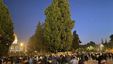 Photo of دعوات للحشد والمشاركة في صلاة الجمعة القادمة بالأقصى