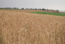 Photo of انخفاض تدريجي على درجات الحرارة وأجواء خريفية معتدلة خلال الأيام القادمة