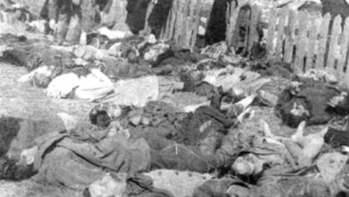 Photo of السلطات الإسرائيلية تصدر أمرًا تقييديًا بمنع نشر وثائق تاريخية عن مذبحة كفر قاسم