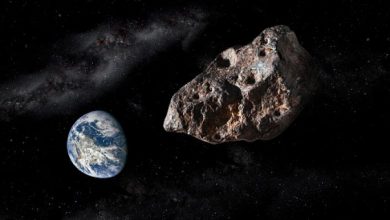 Photo of كويكب عملاق يقترب من الأرض خلال أيام… هل يشكل خطراً؟