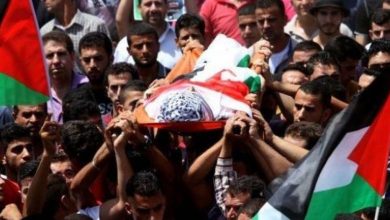 Photo of 50 شهيدا برصاص الاحتلال منذ مطلع العام الجاري