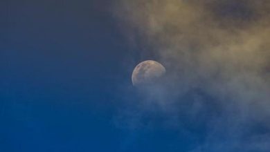 Photo of حالة الطقس: انخفاض على درجات الحرارة