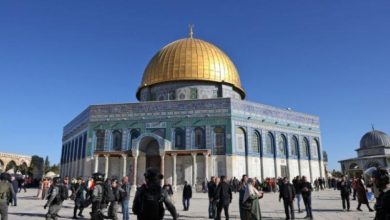 Photo of محافظ القدس: حكومة الاحتلال تقلص دور الأوقاف الأردنية بالاقصى وتمنع ترميم أجزاء منه