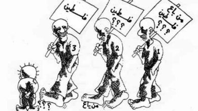 Photo of “الأرشيف الفلسطيني”.. جهد فردي لصون الذاكرة والتاريخ