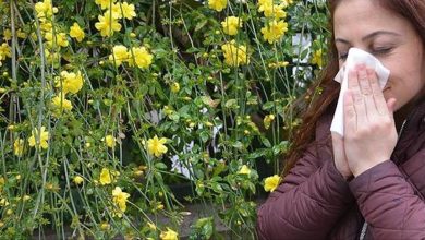 Photo of ما هي أهم النصائح طبية للتعامل مع حساسية الربيع وتبدل الفصول؟