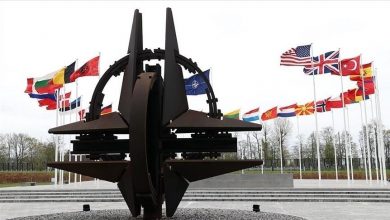 Photo of ألمانيا تعلن دعمها انضمام السويد وفنلندا لحلف الناتو