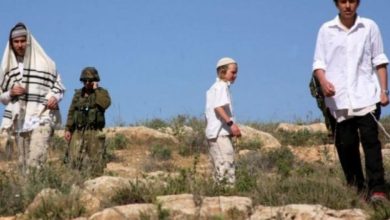 Photo of مستوطنون يستولون على 10 دونمات من أراضي بلدة الخضر جنوب بيت لحم