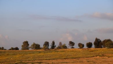 Photo of حالة الطقس: ارتفاع طفيف على درجات الحرارة