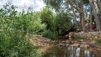 Photo of حالة الطقس: غائم جزئيا حتى صاف