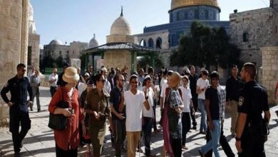 Photo of مجموعات من المستوطنين يقتحمون باحات الأقصى.. دعوات للرباط بدءا من الخميس