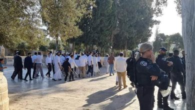 Photo of مجموعات من المستوطنين تقتحم المسجد..الاحتلال يقتحم الأقصى ويغلق المصلى القبلي