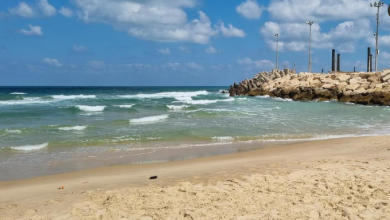 Photo of حالة الطقس: صاف ومريح حتى نهاية الأسبوع.. درجات حرارة اعتيادية لمثل هذا الوقت