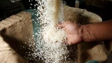 Photo of تحذير من تفاقم أزمة الغذاء العالمية واتصالات أممية لتفاديها