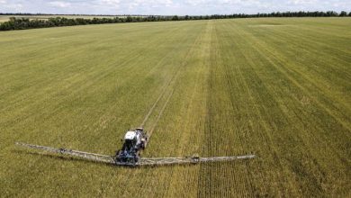 Photo of توافق روسي-تركي على مواصلة المشاورات حول تصدير الحبوب من أوكرانيا.. وأول سفينة تغادر ماريوبول