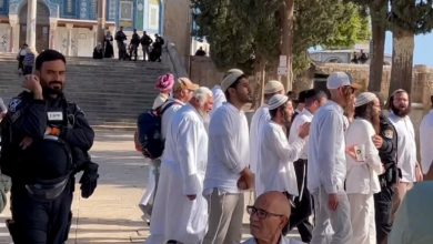 Photo of قوات الاحتلال تعتقل 14 فلسطينيا من الضفة وعشرات المستوطنين يقتحمون المسجد الأقصى