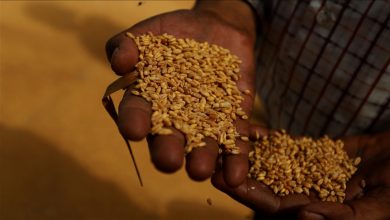 Photo of أزمة حبوب عالمية.. فما فرص نجاح الوساطة التركية في تأمين تصديرها؟
