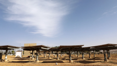Photo of “دائرة الأراضي” تستبعد العرب من مشاريع الطاقة الشمسية
