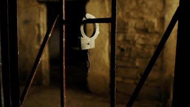 Photo of فرحة تجاوزت قضبان الاحتلال وسنوات الأسر.. أبناء الأسرى يضيئون عتمة السجون بشموع التفوق والنجاح