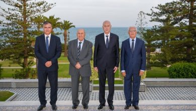 Photo of رئيس لجنة الدستور بتونس: نسخة سعيّد تمهد لنظام ديكتاتوري