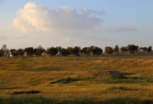 Photo of انخفاض متواصل على الحرارة وأجواء مغبرة.. وتحسن تدريجي اعتباراً من الثلاثاء