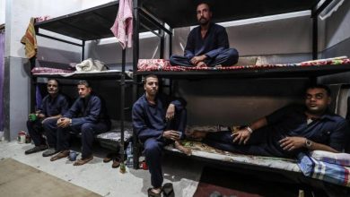 Photo of 631 انتهاكًا في السجون خلال يونيو: حصاد القهر في مصر
