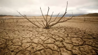 Photo of دولتان في أوروبا تعانيان من “أسوأ جفاف” منذ 1200 عام