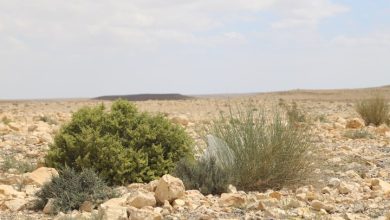 Photo of حالة الطقس: ارتفاع طفيف على درجات الحرارة