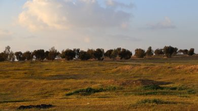 Photo of حالة الطقس: أجواء صافية وارتفاع طفيف على درجات الحرارة