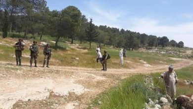 Photo of مستوطنون يعتدون على المزارعين ويتلفون محاصيلهم في “مسافر يطا”